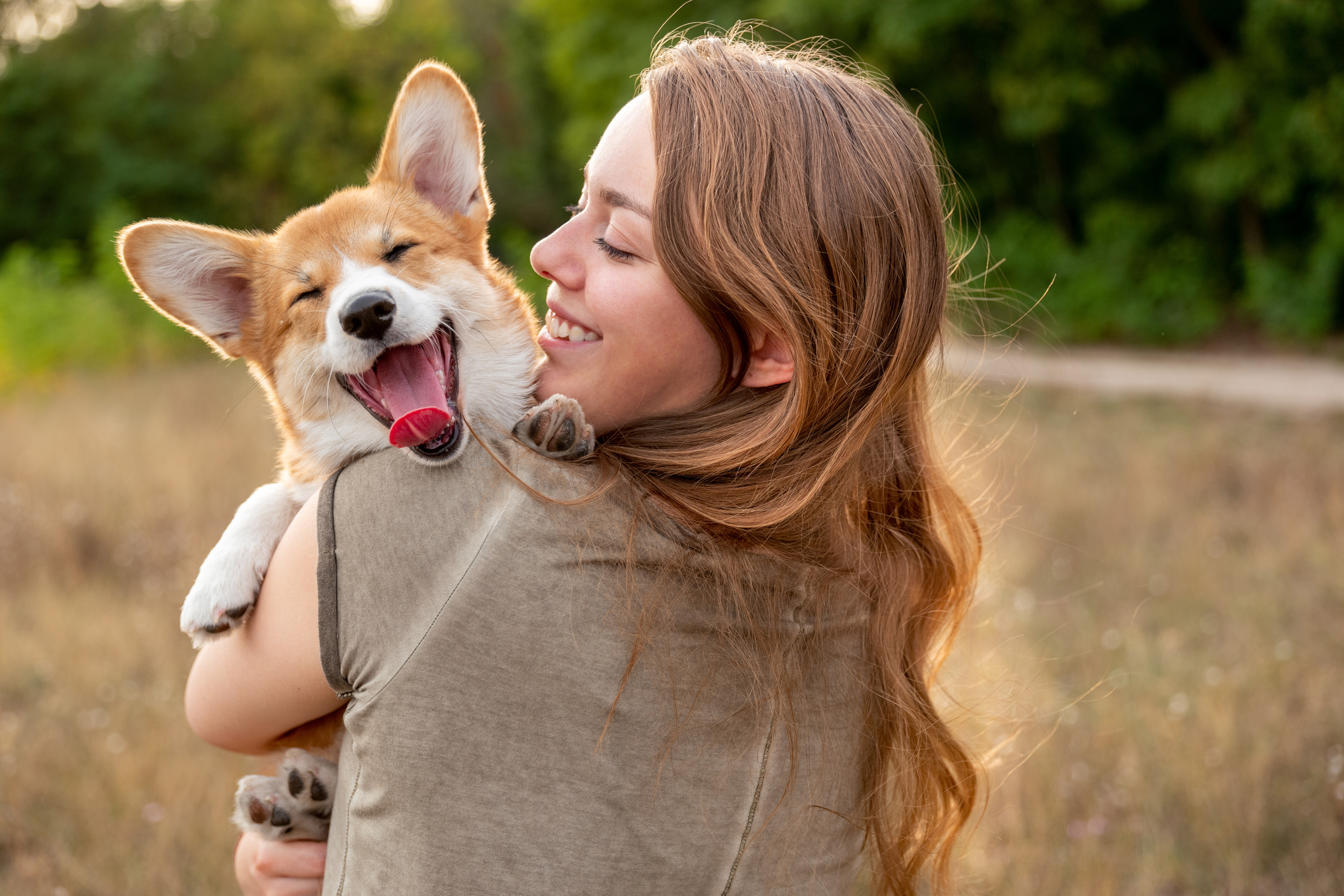 Teuer wie Kleinwagen: So viel kostet Hundehaltung