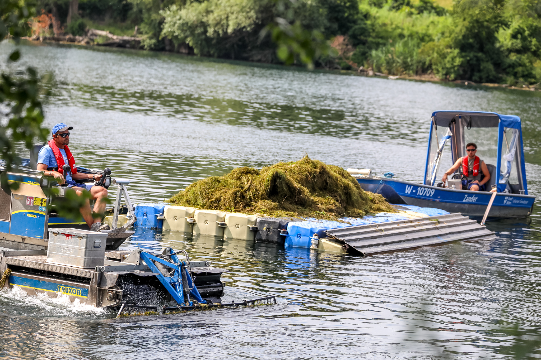 Alte Donau: Schwimmende Mäh-Brigade im Einsatz