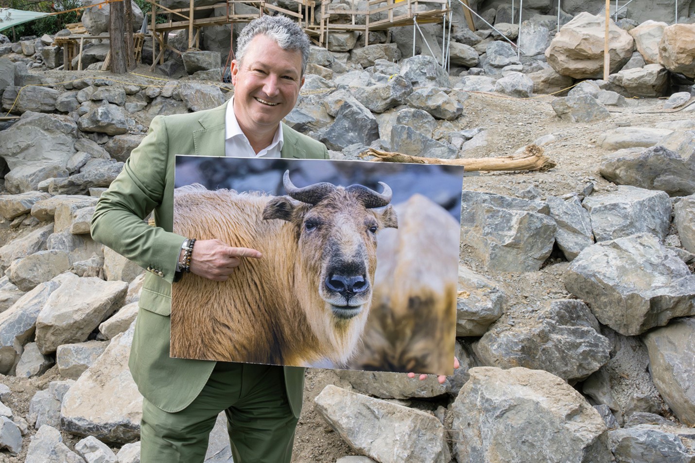 Neu im Zoo: Gebirge für „goldige“ Bewohner