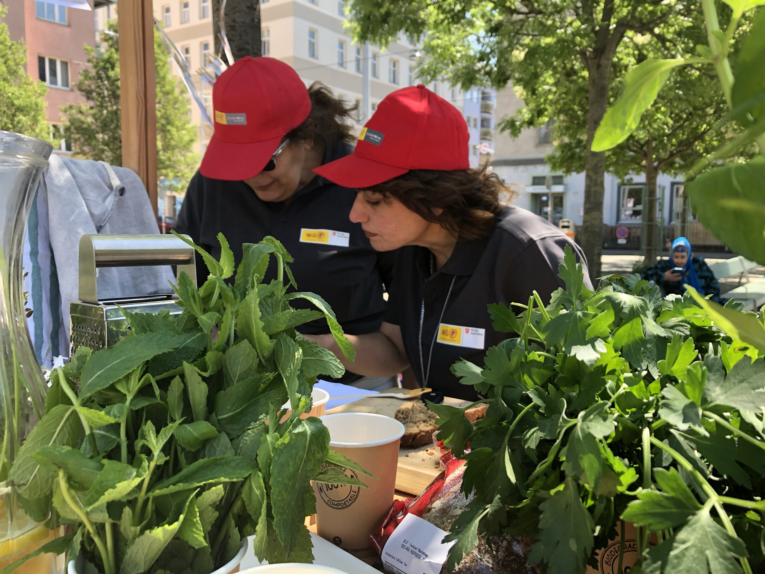 Gratis Mitmach-Aktionen zu Ernährung in vier Bezirken