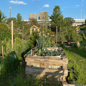 Neu Marx Garten Beet aus Paletten