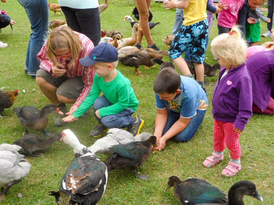 Erlebnishof: Simmeringer Institution in Gefahr
