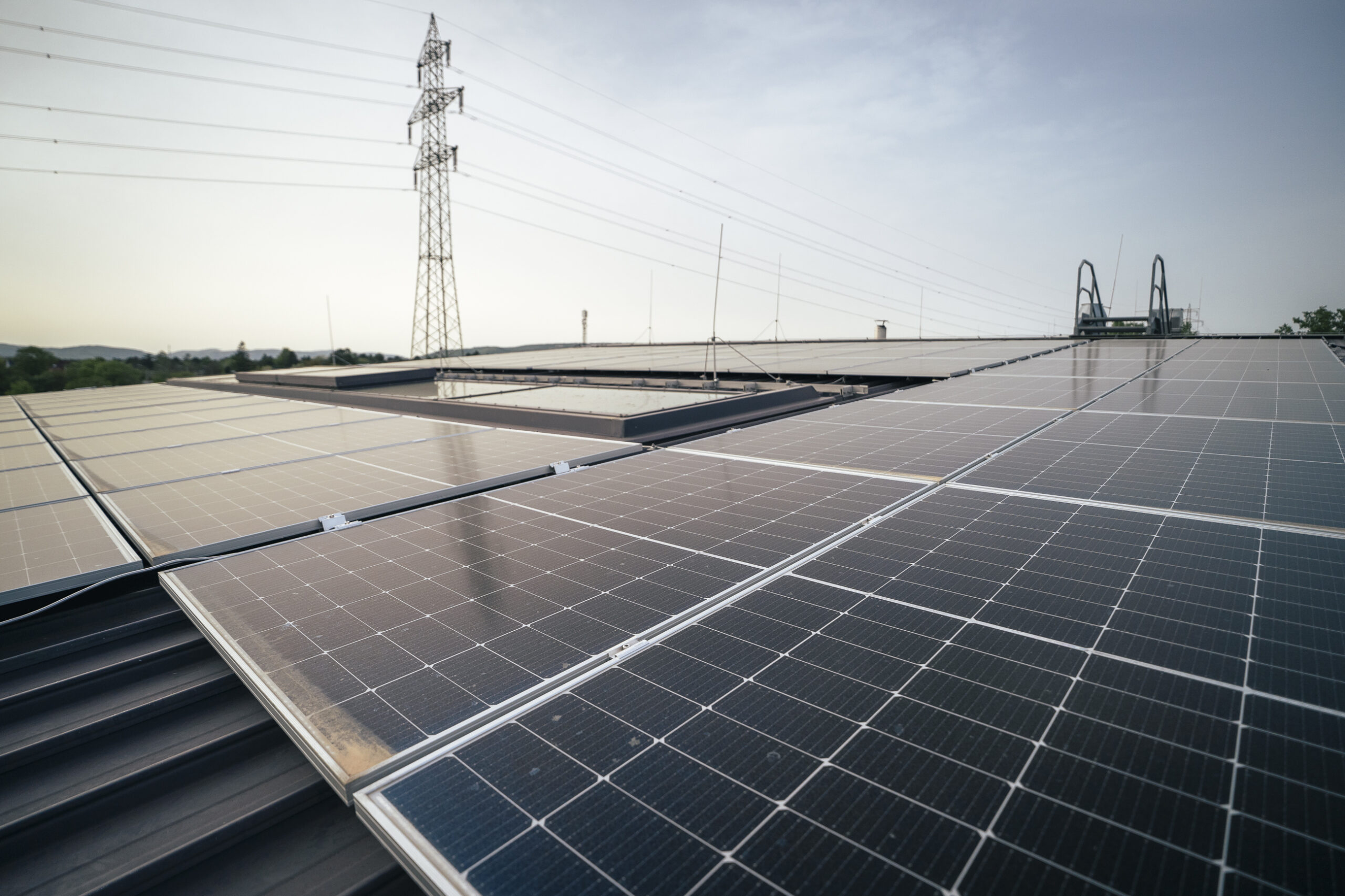 Wien Energie treibt Ökostrom-Ausbau auf Rekordniveau