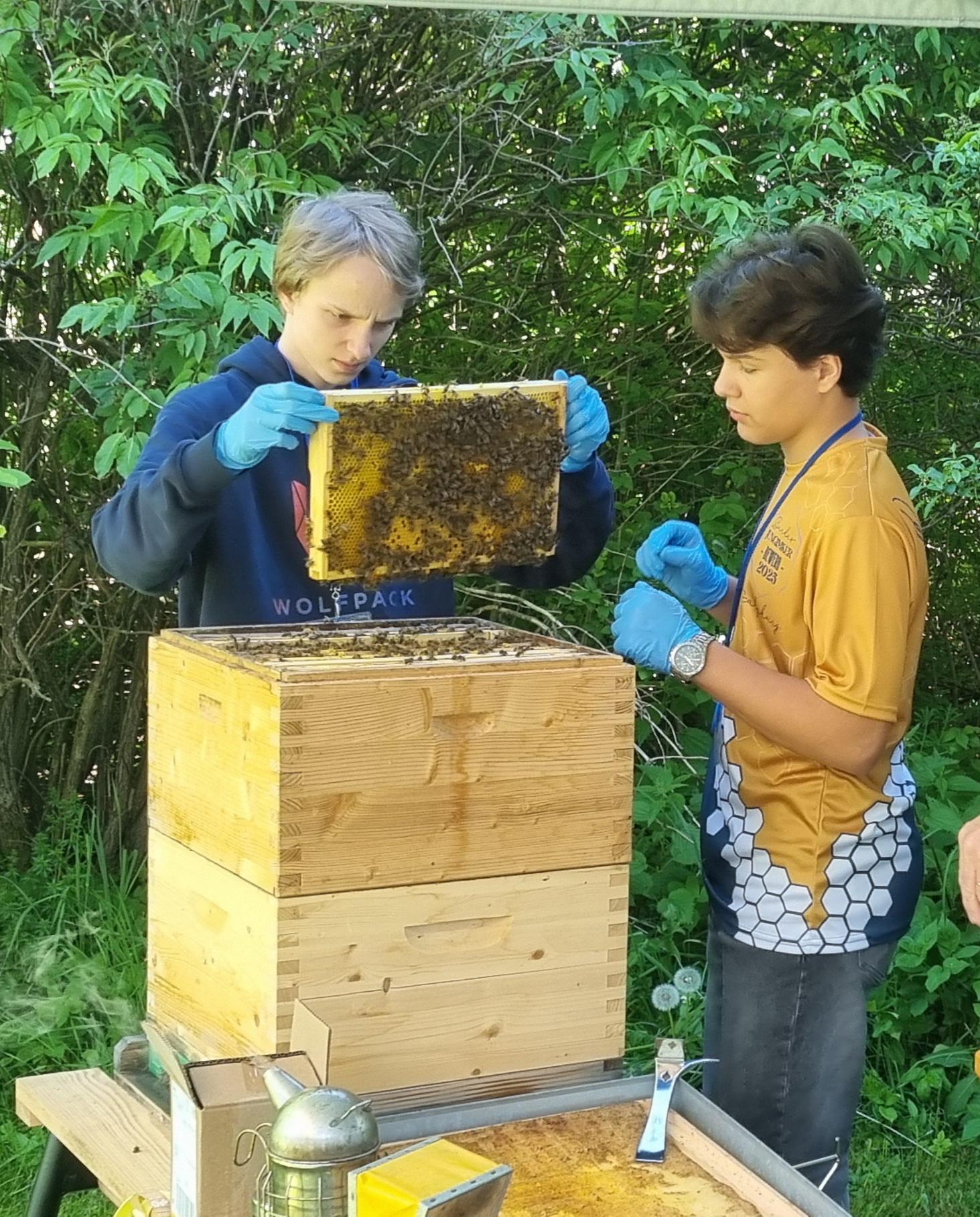 Automatisch gespeicherter Entwurf