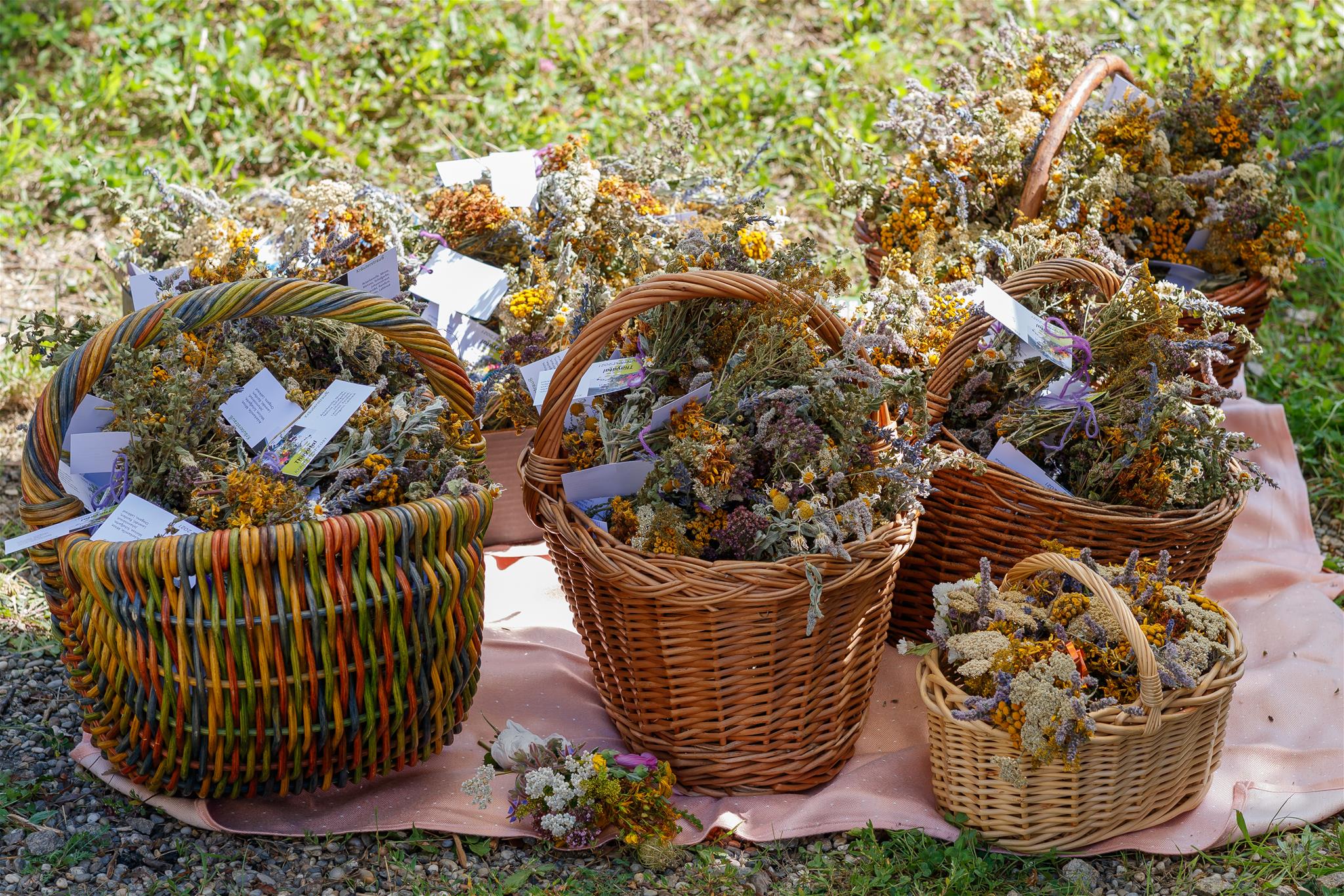 Gesundes Gärtnern: Kräuterfest im Nationalpark Thayatal