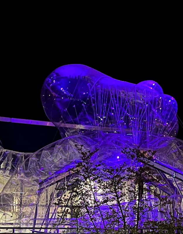 Ein August voller Strauss: Wien feiert den Walzerkönig